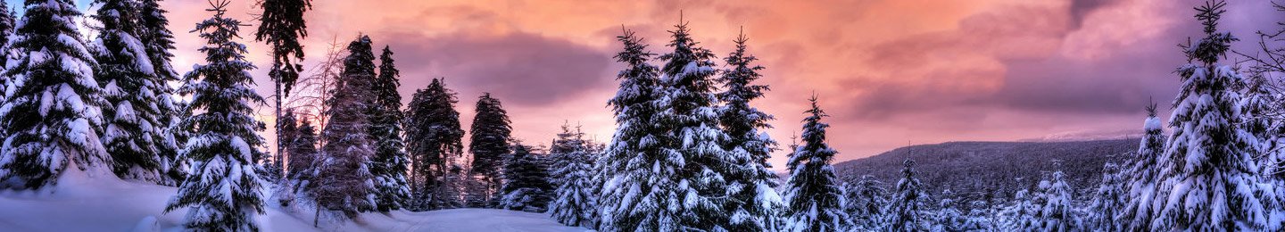 subpage-header_idaho-forest-in-winter