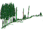 clearcut clearcut