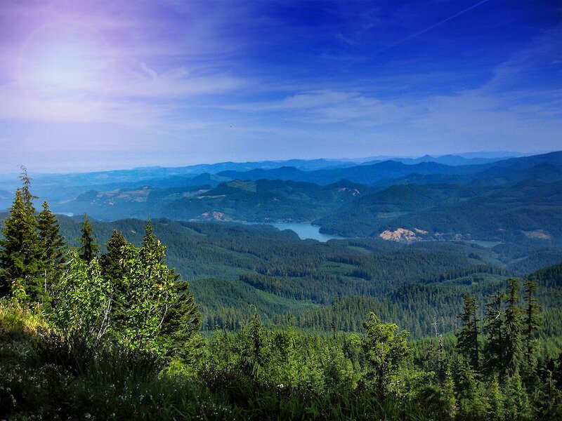 Go Outside. Breathe Fresh Air. Go Outside. Breathe Fresh Air.