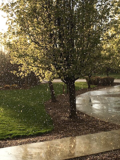 A Rainy Day A Rainy Day