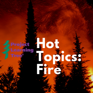PLT: Hot Topics (Boise) July 22-23, 2020 1