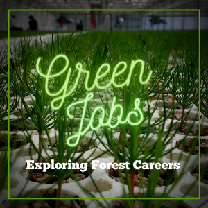 NEW! Green Jobs: Exploring Forest Careers (Virtual workshop) 1