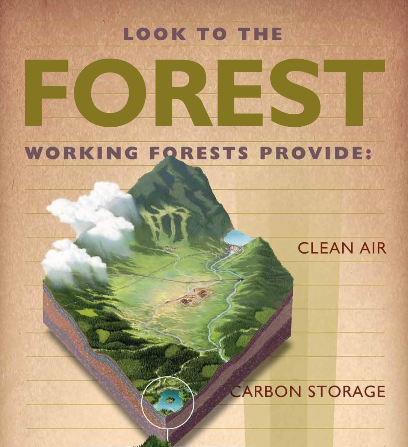 IFPC – Look to the Forest Poster IFPC – Look to the Forest Poster